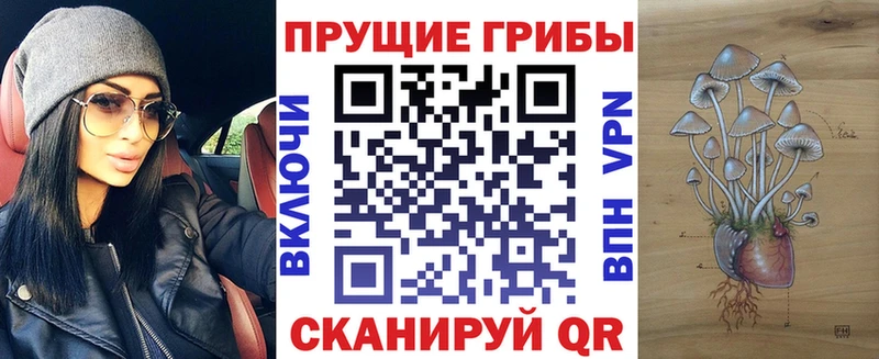 купить закладку  Дзержинск  Псилоцибиновые грибы прущие грибы 